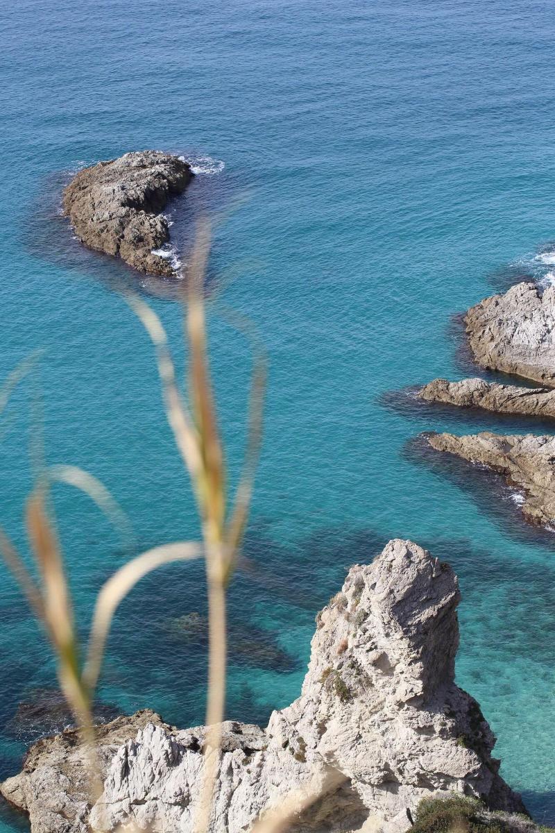 Hotel Calabrisella Calabria Екстериор снимка