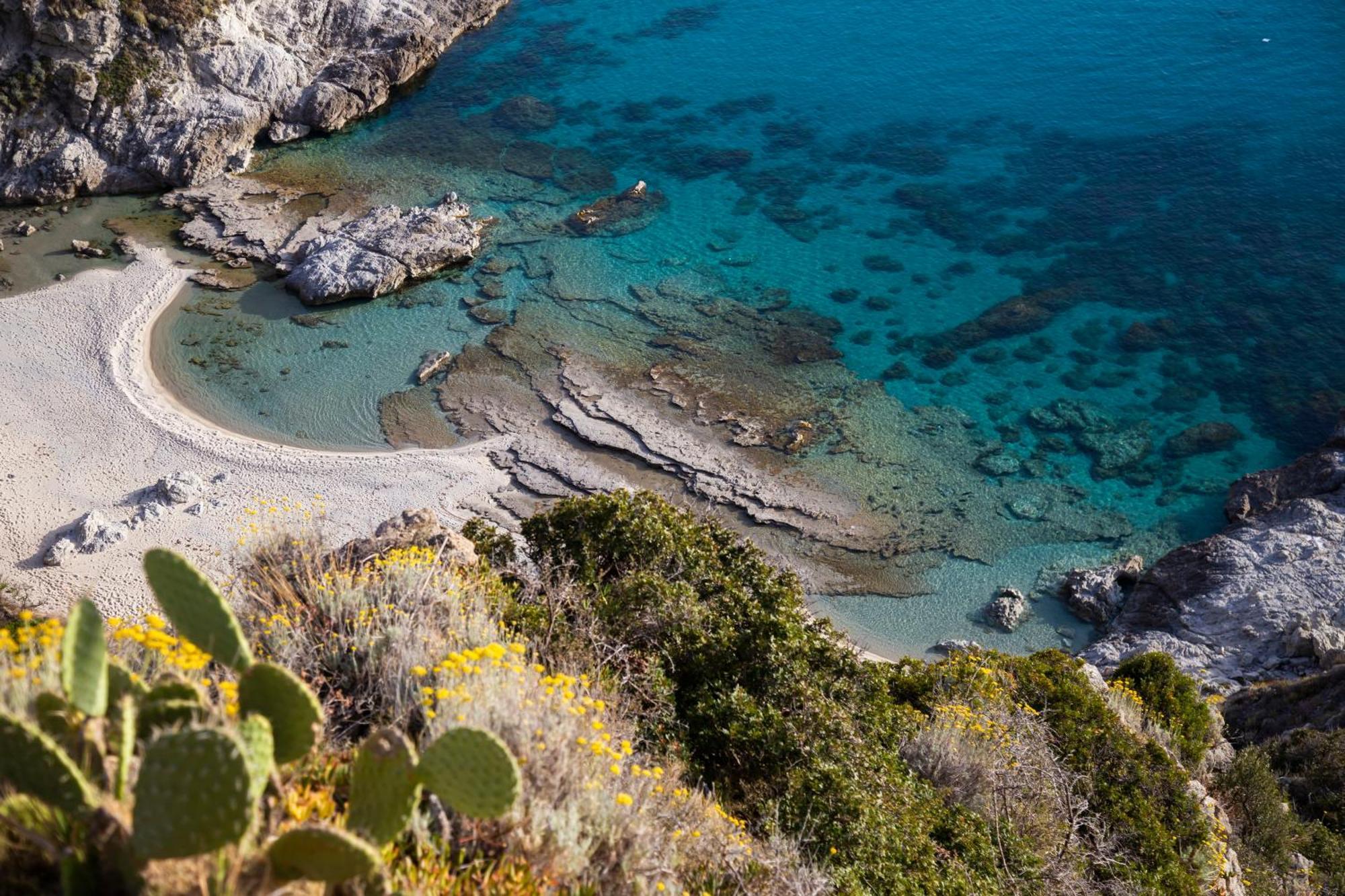 Hotel Calabrisella Calabria Екстериор снимка